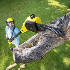 Best Landscape Design and Installation  in North Bonneville, WA