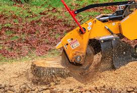 Best Lot and Land Clearing  in North Bonneville, WA