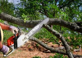 Leaf Removal in North Bonneville, WA